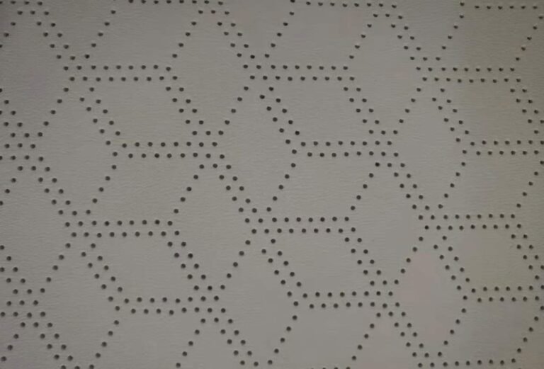leather perforation machine (2)